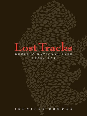 Lost Tracks - ebook